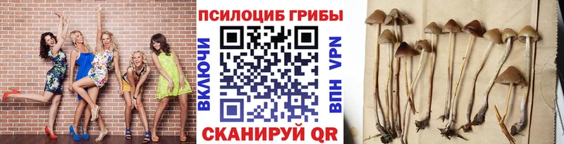 Галлюциногенные грибы ЛСД  Любим 